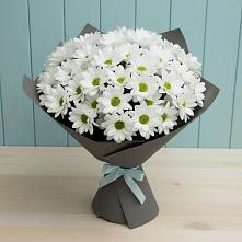 Букет цветов из:  Хризантемы в Новотерском