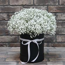Цветочная композиция из Гипсофила в шляпной коробке в Новотерском